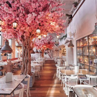 رستوران و کافیشاپ